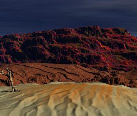 PalReal by David Gleze