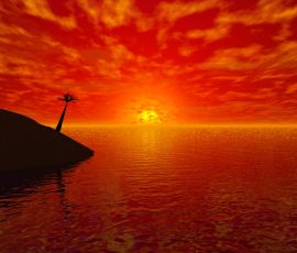 La palmera solitaria by David Gleze