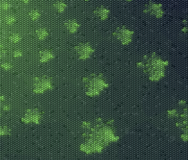 MosaicoFractal 02 by David Gleze