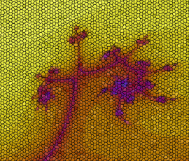 MosaicoFractal 11 by David Gleze